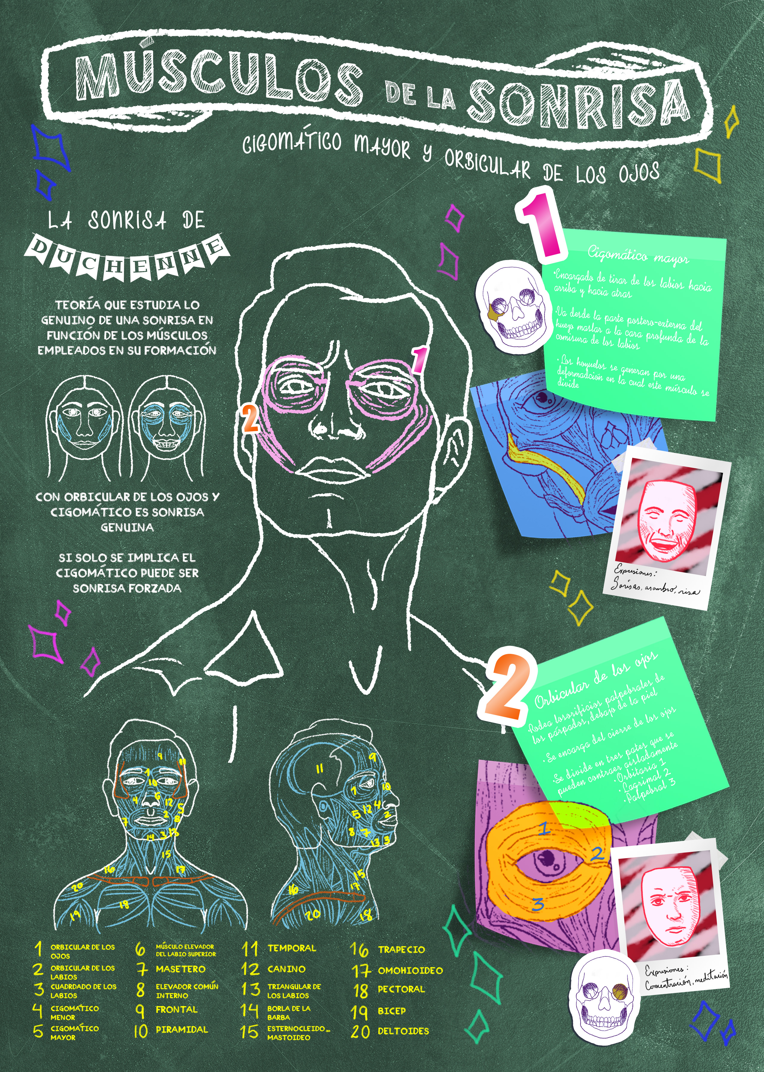 Infografía Editorial